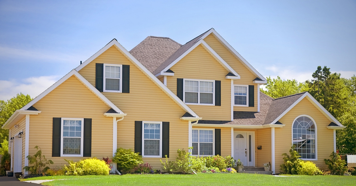 shingle roof repair options