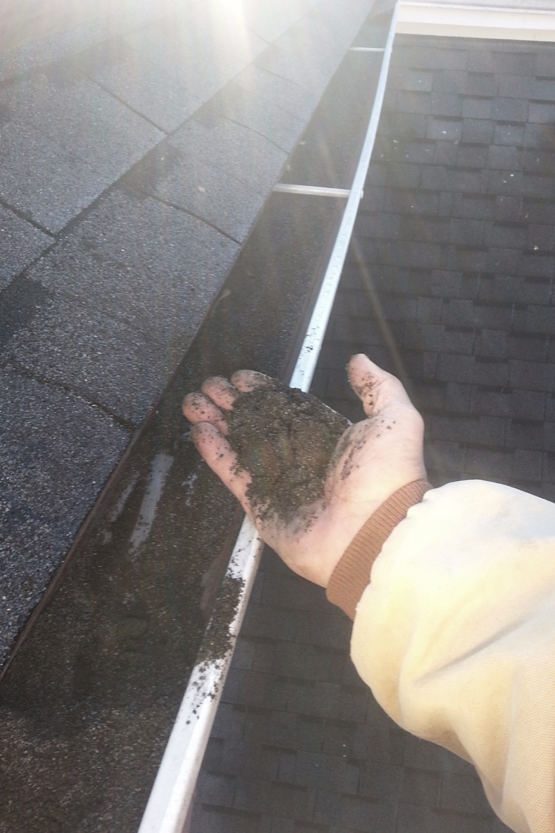 Echols 20151208_094022 shingle granules in gutters - edited