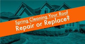 Spring Cleaning Your Roof, Replace or Repair