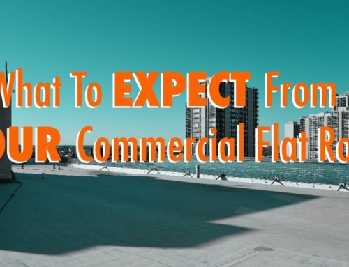 What To Expect From Your Commercial Flat Roof
